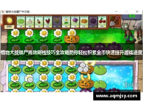 植物大战僵尸高效刷钱技巧全攻略助你轻松积累金币快速提升游戏进度